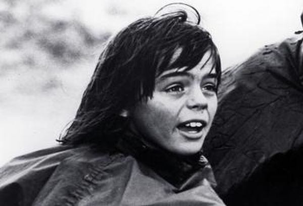 Storm Boy