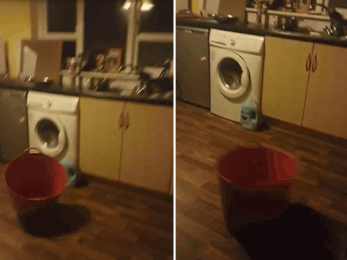 A red bucket is seen moving across the room. (Photo: Facebook).