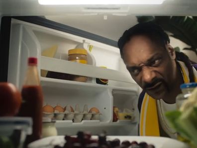 menulog celebrity ad campaigns snoop dog katy perry christina aguilera jeff goldblum