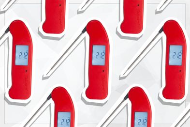 9PR: Thermapen ONE Digital Thermometer