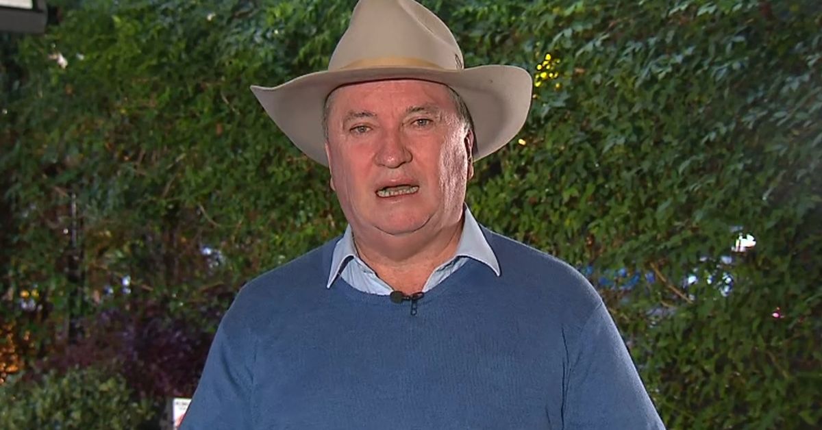 One Nation's Barnaby Joyce joins call for snap election
