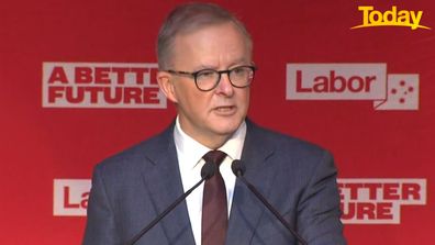 Anthony Albanese Opposition leader.