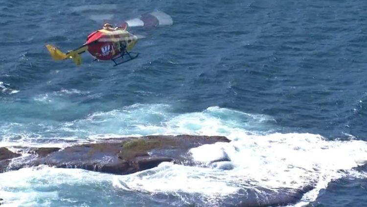 Little Bay Sydney shark attack: Diver ripped him apart relives the moment  and tells how he survived