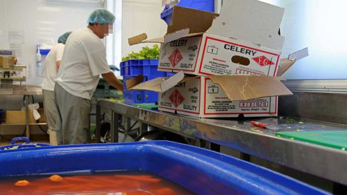 Convicts process vegetables at the St Heliers Correctional Centre in NSW. (Corrective Services NSW)