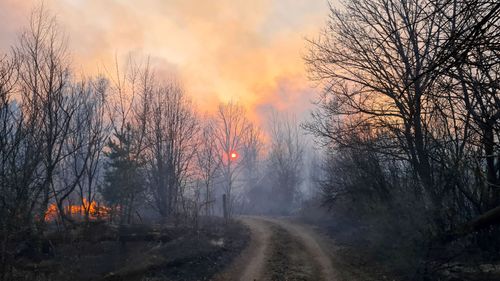 Incêndios em Chernobyl: bombeiros lutam para conter chamas na zona radioativa