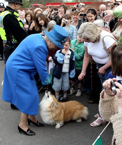 Кралица Елизабет поздравява корги по време на посещение в Уелшпул в Уелс през 2010 г. 