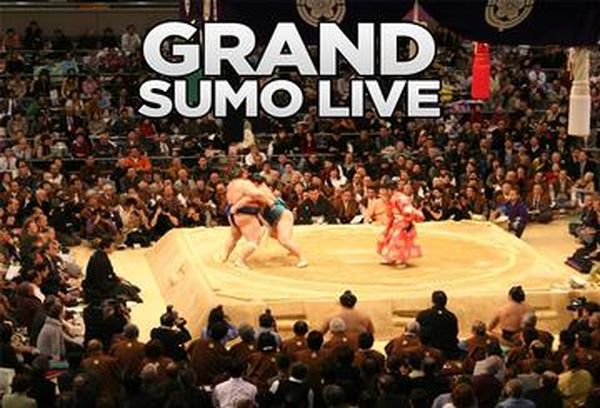 Grand Sumo LIVE