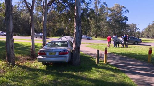 The car came to a halt in a park.