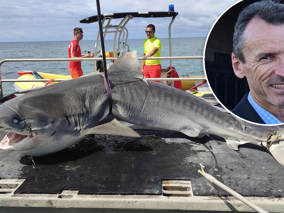 New Caledonia shark attack update: 'Beloved' father identified as man  killed by shark in New Caledonia as authorities catch beast
