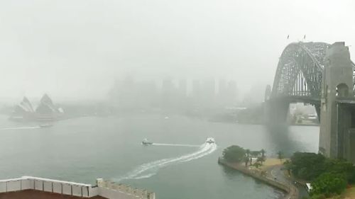 Sydney finally gets some rain. (9NEWS)