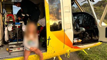 A young girl has been rushed to hospital after being attacked by a dingo on K&#x27;gari, Fraser IslandBundaberg RACQ LifeFlight Rescue helicopter crew rushed to the island after getting the call at 4.40pm.