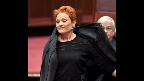 Pauline Hanson's infamous burqa stunt shocked the Senate and drew widespread criticism.