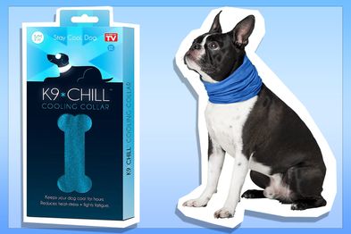 9PR: K9 Chill Dog Cooling Collar, Small/Medium 8-inch to 20-inch
