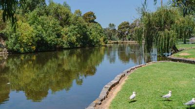 <p>Victoria, Melbourne: Coburg Lake Reserve, Coburg</p>