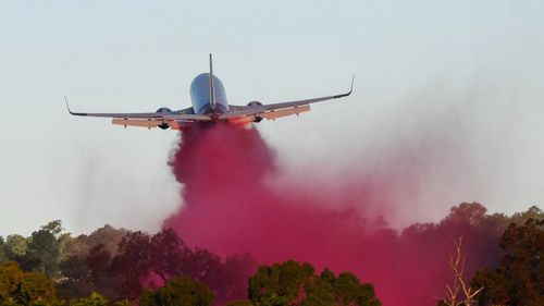 Two firefighting pilots have miraculously walked away with only minor injuries after surviving Australia's first Boeing 737 crash.