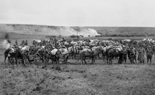 Australian artillery units pursued retreating German forces in late October 1918. (Australian War Memorial).