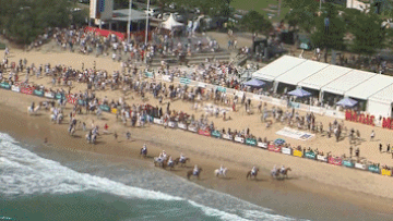 Two horses have been recaptured after escaping from ﻿the Magic Millions beach race on the Gold Coast.