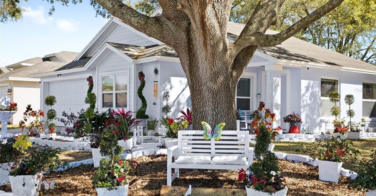 Edward Scissorhands house for sale complete with cinematic fitout