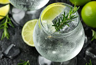 Gin is mainly flavoured with what type of plant?
