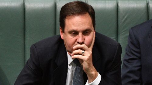 Steve Ciobo was demoted from the Trade portfolio in the last cabinet reshuffle.