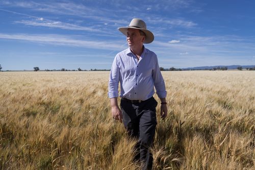 Barnaby Joyce on the campaign trail visiting wheat growers and farmers outside of Tamworth on Tuesday. (AAP)