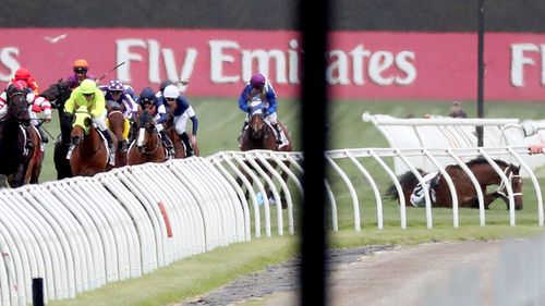 Regal Monarch ridden by Joao Moreira is seen after a fall in race four of the Melbourne Cup day. (AAP)