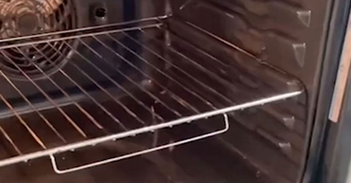 Before and After Photos: TikTok Lemon Oven Cleaning Hack Works