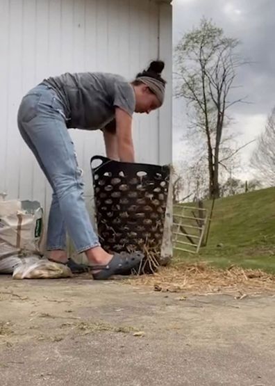 Woman plants potatoes in a laundry hamper