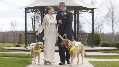 Couple marries after guide dogs 'fall in love'