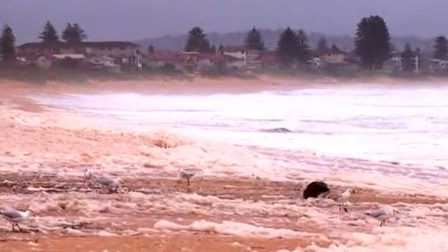 Collaroy Beach Sydney Northern Beaches NSW floods sea foam