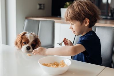 Children and pets