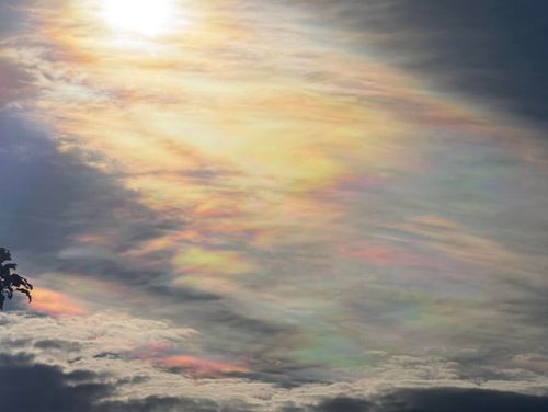 A﻿ Sydney photographer has captured a rarely observed rainbow cloud phenomenon called "irridescent clouds."﻿Maria Milford was driving to the Gold Coast when she spotted the iridescent clouds over the sky in Woolgoolga, NSW. 