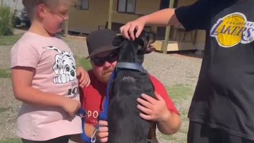 A South Australian dog owner has been reunited with their pet after two years.