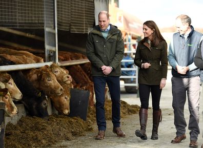 Kate Middleton Prince William royal tour of Ireland day two