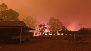 Striking photos that captured horrors of the Black Summer bushfires