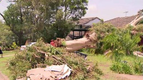 1000 SES crews will be on the ground this morning, cleaning up after a wild weekend of storms.