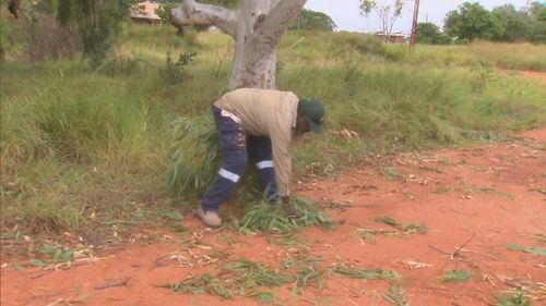 Residents cleared loose rubbish, branches and debris from their homes and streets in preparation for the severe weather system.﻿