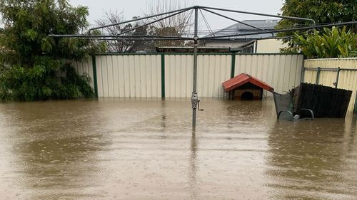 Family issued $283 parking fine for moving car to higher ground during floods