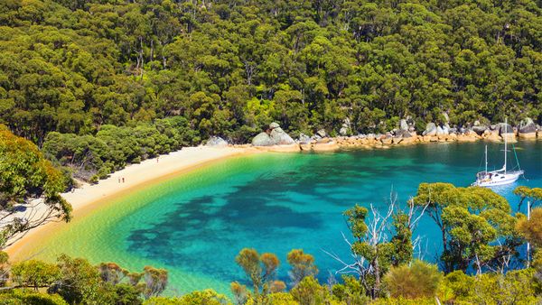 Refuge Cove from above, at Wilson's Prom.