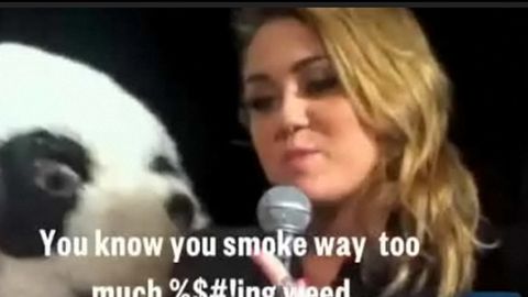 Miley Cyrus is a 'smart-ass' not a pothead, according to rep