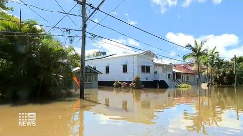 The new Queensland buy-back scheme comes as the state is once again hit by severe floods. 