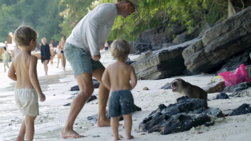 Aussie family attacked by monkeys at Monkey Beach in Thailand.