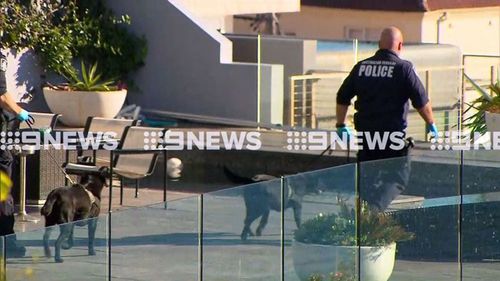 Police swooped on John Ibrahim's Dover Heights home early Tuesday morning.