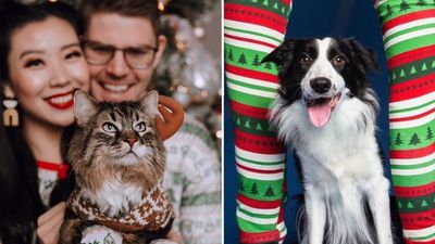 Wholesome family Christmas photos with pets