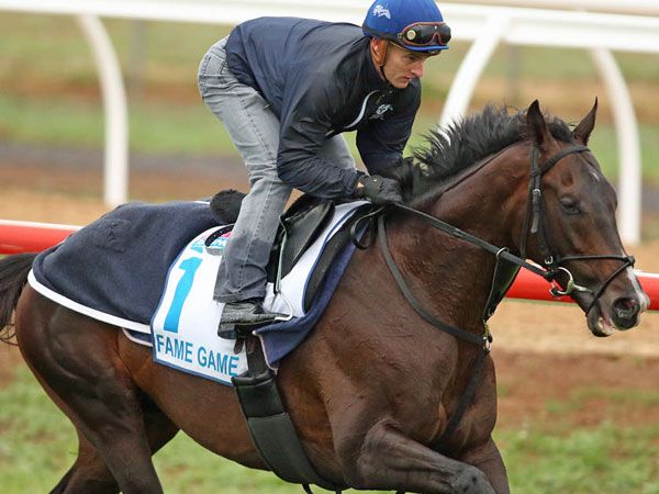 Melbourne Cup favourite 'has improved'