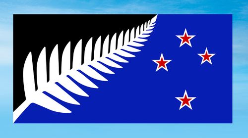 NZ flag referendum: Silver Fern wins first stage