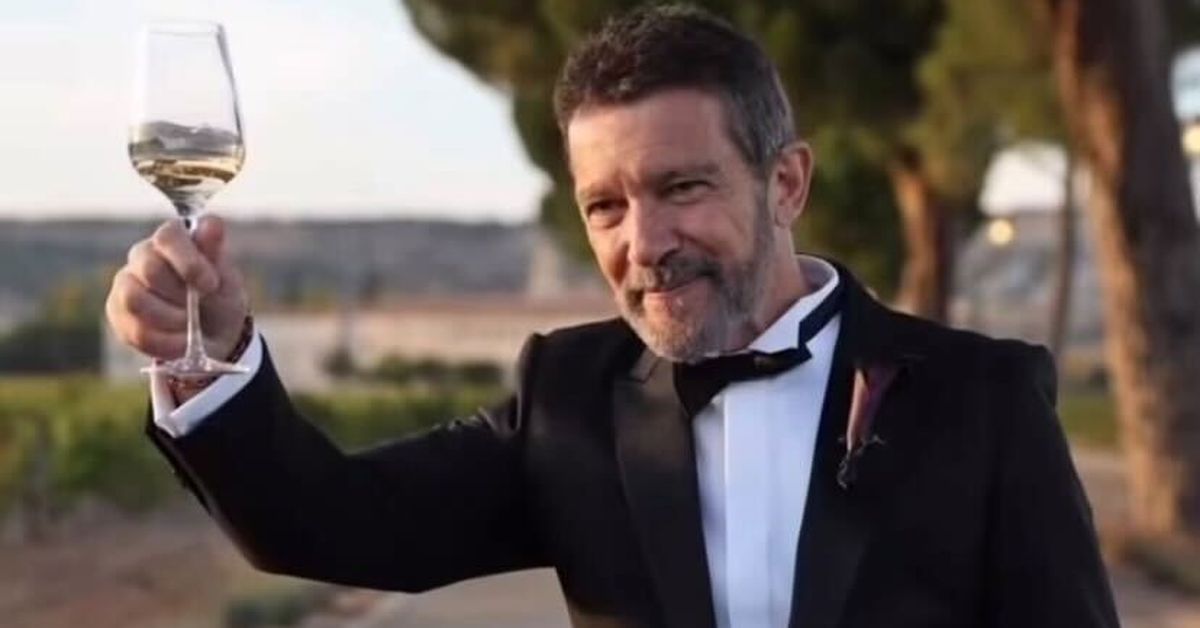 Antonio Banderas celebrates daughter Stella Del Carmen Banderas’ wedding with Melanie Griffith, Dakota Johnson