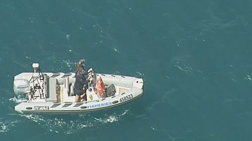 Search for surfers body near Streaky Bay in South Australia after believed shark attack