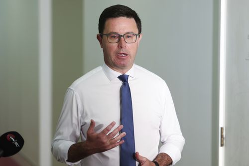 Nationals leader David Littleproud during a doorstop interview