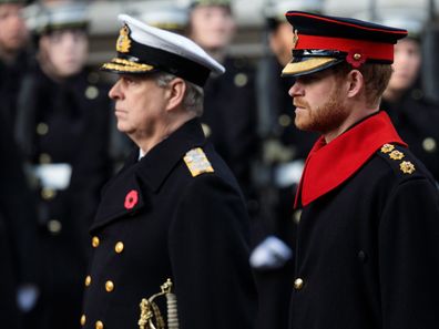 Prince Andrew and Prince Harry at the Cenotaph, Remembrance Sunday 2019.